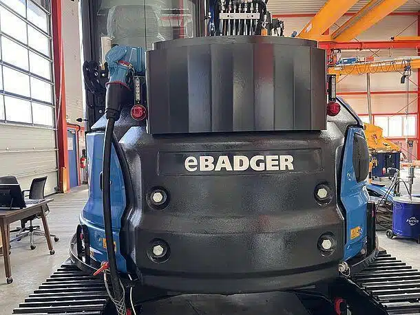 eBadger - Image 2